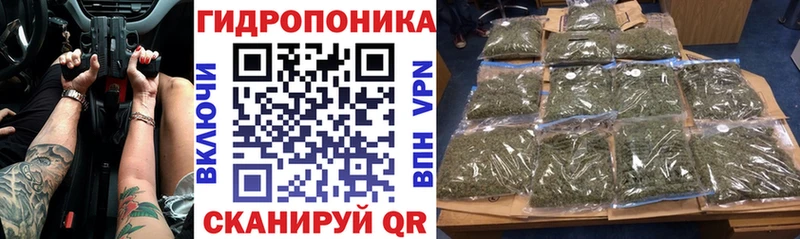 мега зеркало Шарья shop формула наркота Шишки марихуана OG Kush